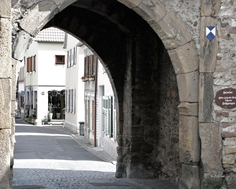 Baerengasse Apartments フラインスハイム エクステリア 写真