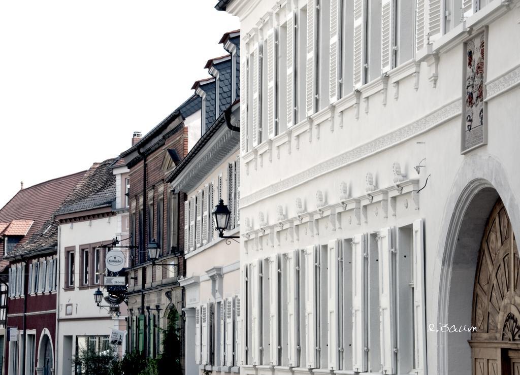 Baerengasse Apartments フラインスハイム エクステリア 写真